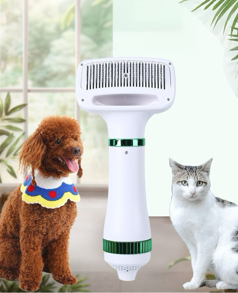 Un Perro y un gato en un living con ventanas con el producto cepillo en imagen destacada, blanco con aplicaciones verde metalico. 